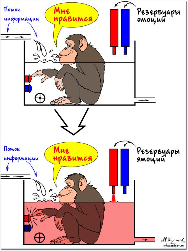 Обезьяна - эмоции, не всегда положительные. Это и печаль, сочувствие и т.д.&nbsp;